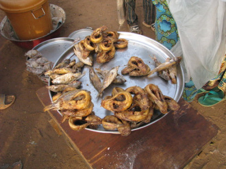 04 Poisson